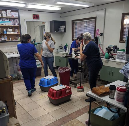 spay_neuter_clinic_1 spay_neuter_clinic_1